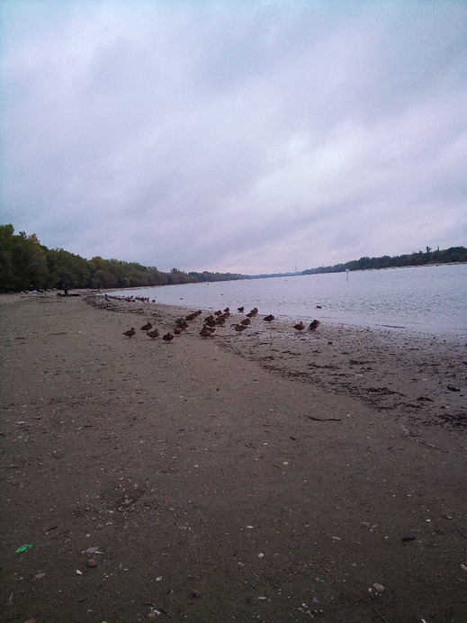 Budapest XVII.ker - Rákoskeresztúr