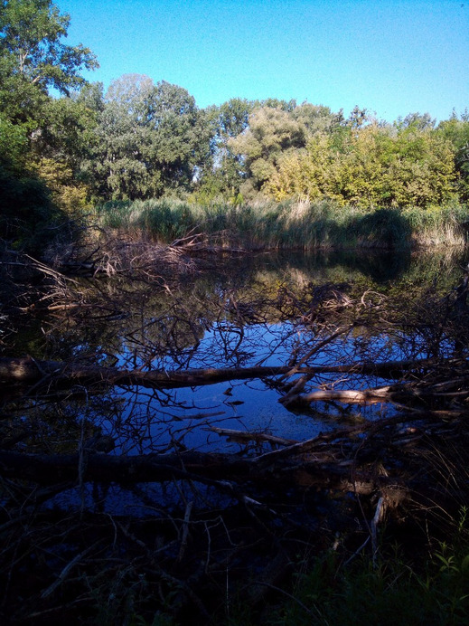 Budapest XIX.ker - Kispest