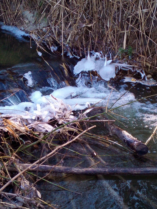 Budapest IV.ker - Káposztásmegyer
