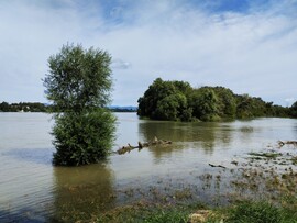 Elöntve
