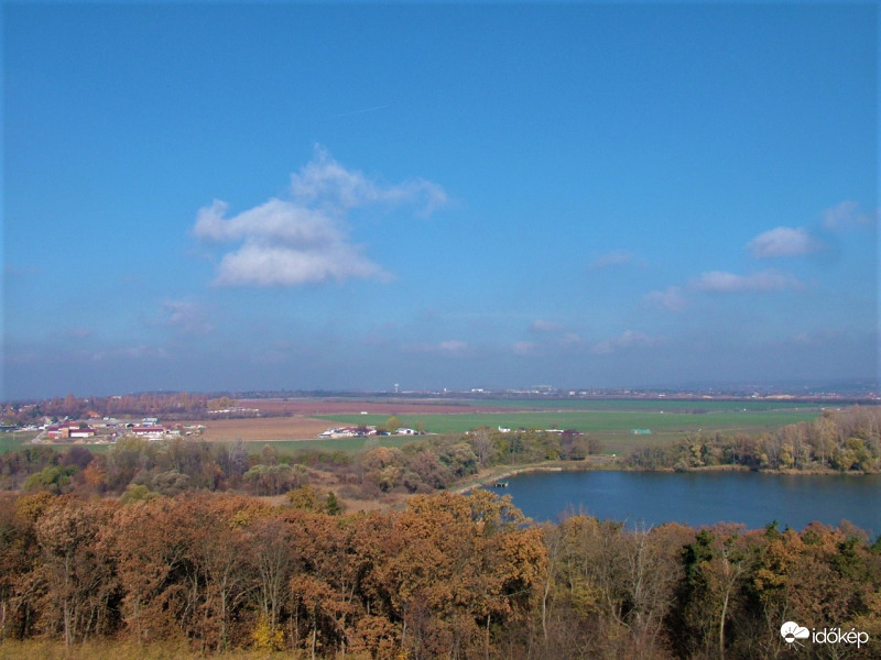 Magasság