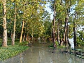Vizibicikli