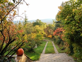 Szentendre