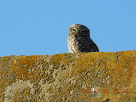 Ma reggel már nagyon hideg volt.