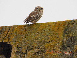 Az esőben is eljöttem hozzád.