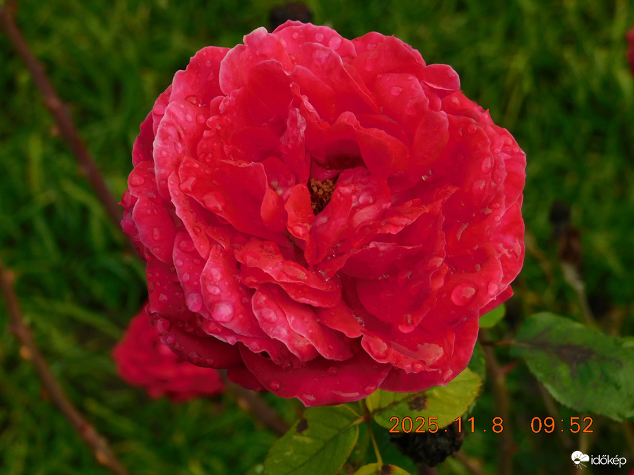 Rám nem hatott a hideg idő.