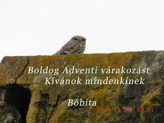 Már én is készülök az Advent első naojára. Kedves szomszédom, neked is kellemes Adventi várakozást.