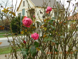 Feldebrő, Kossuth u. Mi még összetartunk.