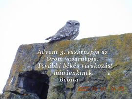 Advent 3. vasárnapja, az öröm vasárnapja. Mindenkinek további békés várakozást kívánok Feldebrőröl, Bóbita