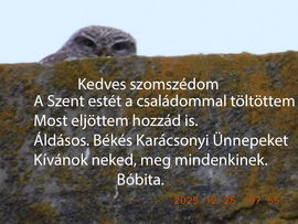 Kellemes Karácsonyi ünnepeket kívánunk mindenkinek, Bóbita és Lajos