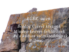 BÚÉK. 2026.