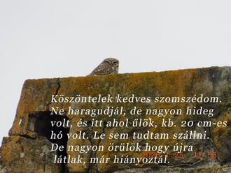 Bóbita már nem fázik.