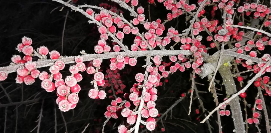 Kisláng