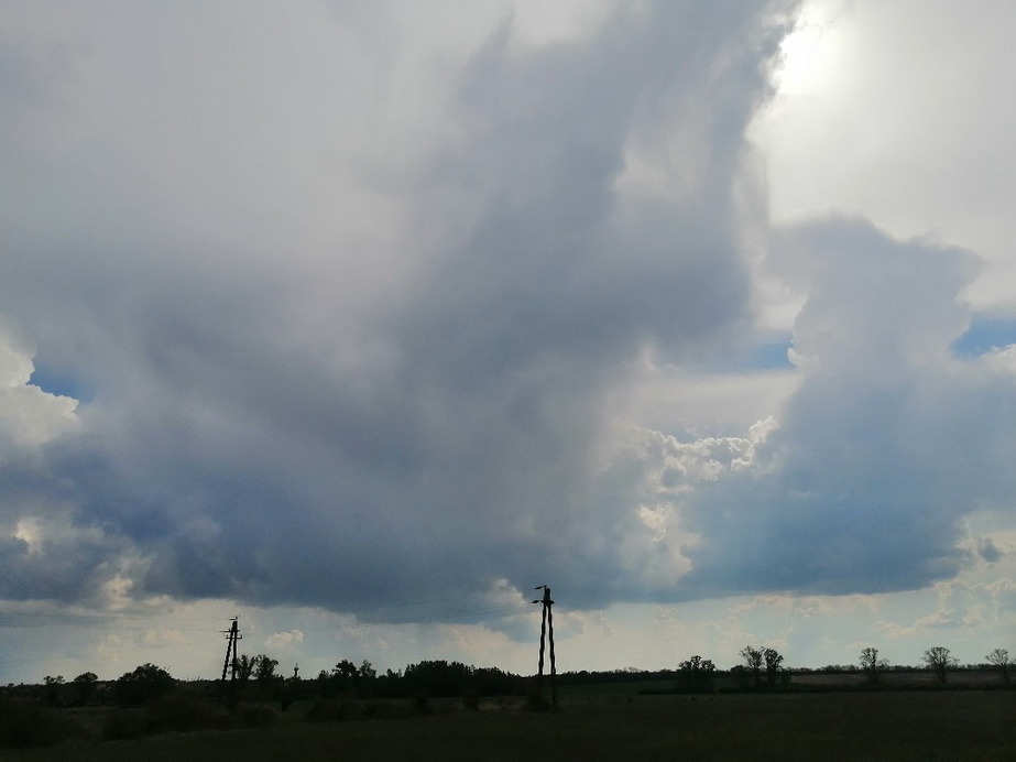 Zámoly