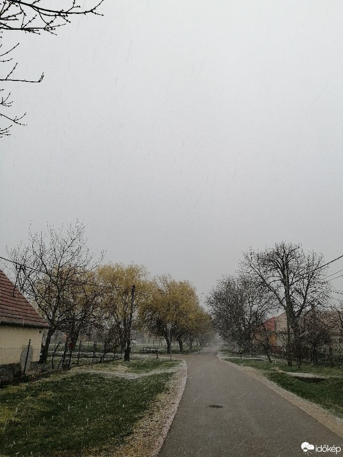 Zámoly