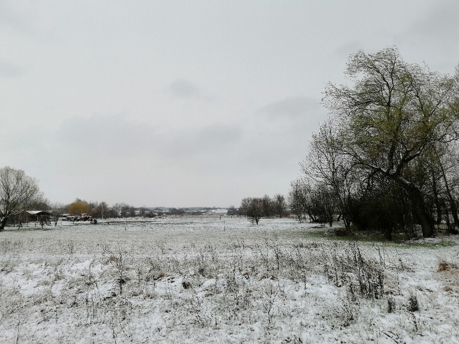 Zámoly