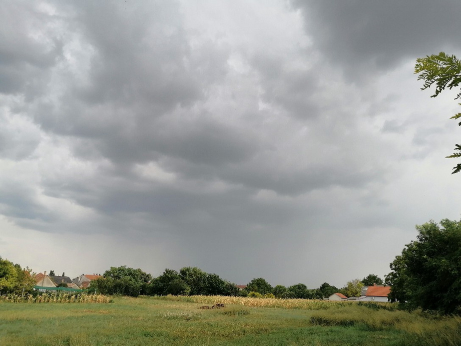 Zámoly