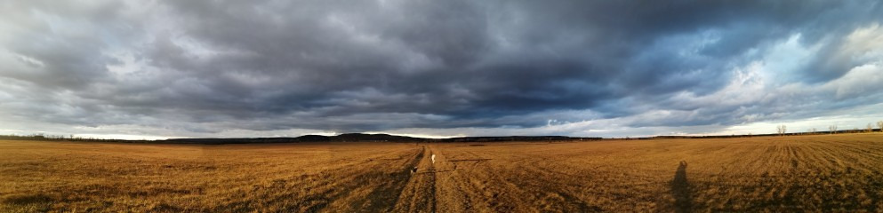 Zámoly