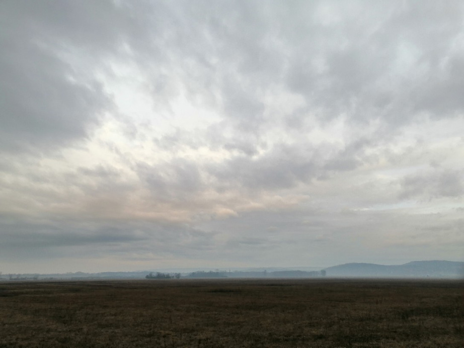 Zámoly