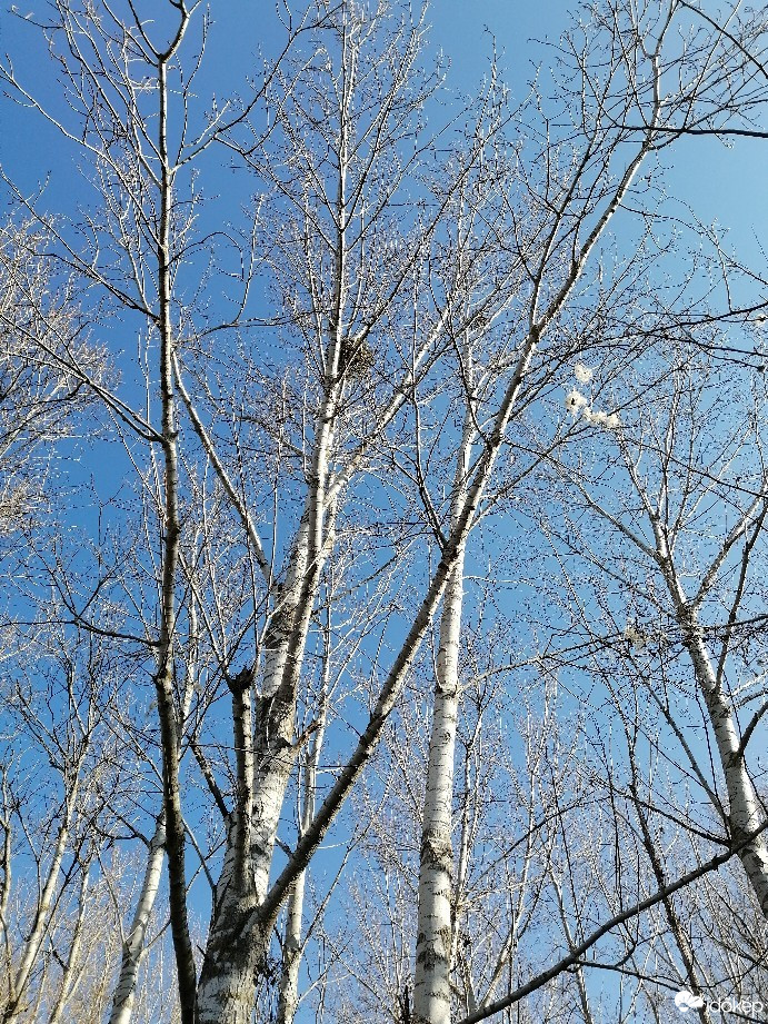 Zámoly