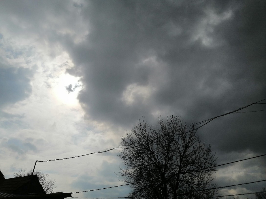 Zámoly