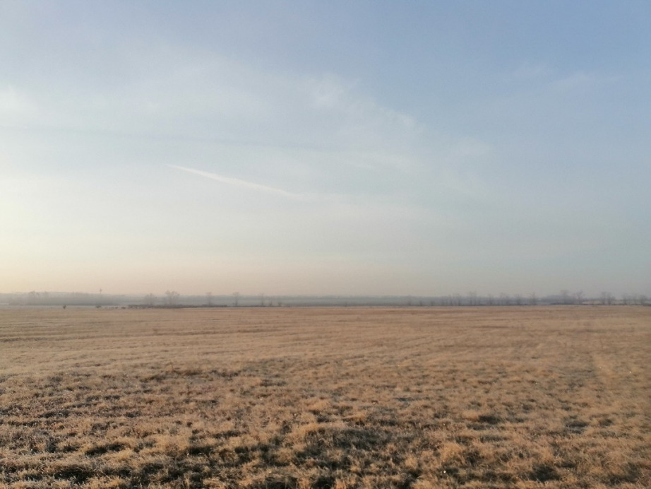 Zámoly