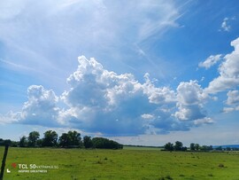 Zámoly