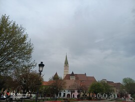 Mediaș