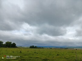Zámoly
