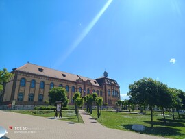 Mór