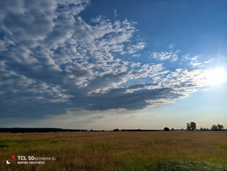 Zámoly