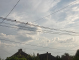 Mezőberény