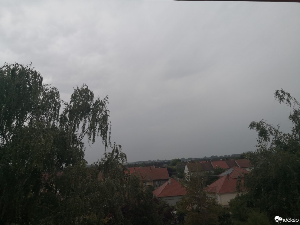Pápa