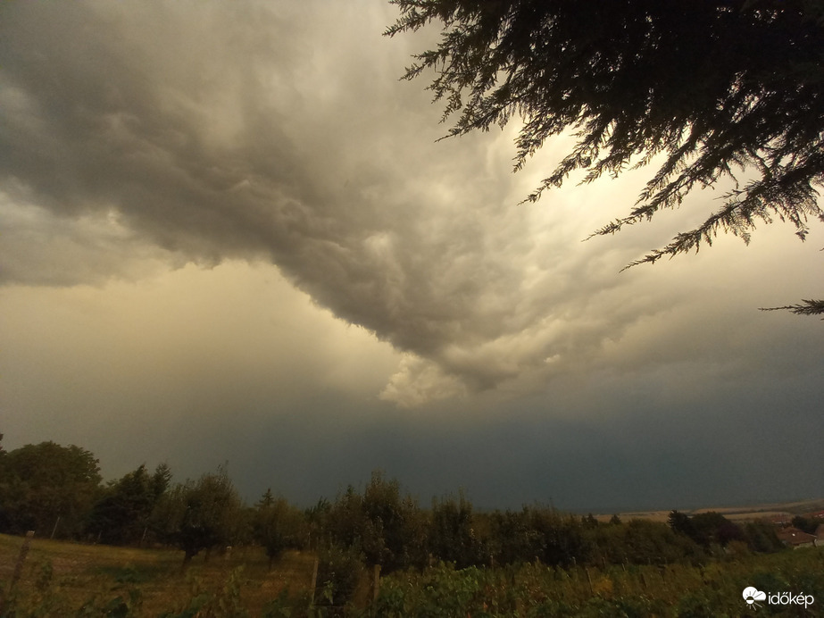 Észlelési fényképek