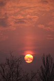 Sunpillar