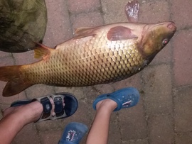 Potyka, a papucsok elvesznek mellettem