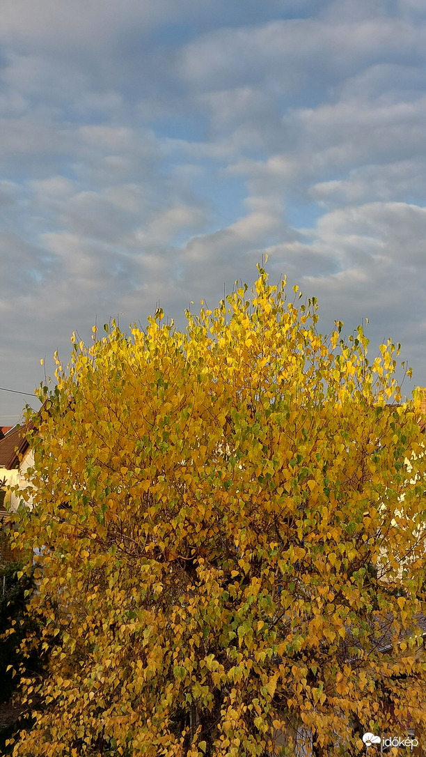 Végre egy kis napfény