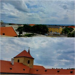 lelube fotója
