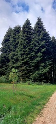 lelube fotója