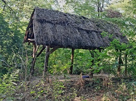 lelube fotója
