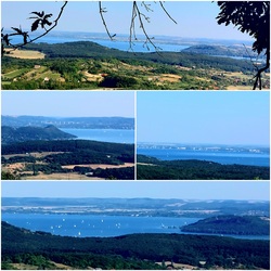 lelube fotója