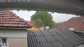 Flims