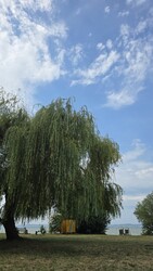 Balatonszárszó