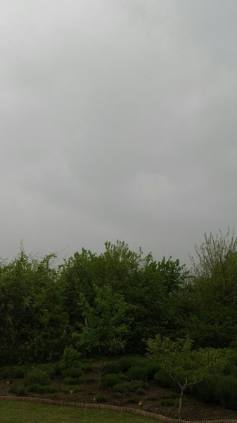 Győrság