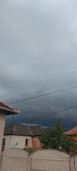 Polgár