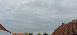 Polgár