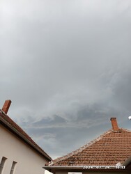 Polgár