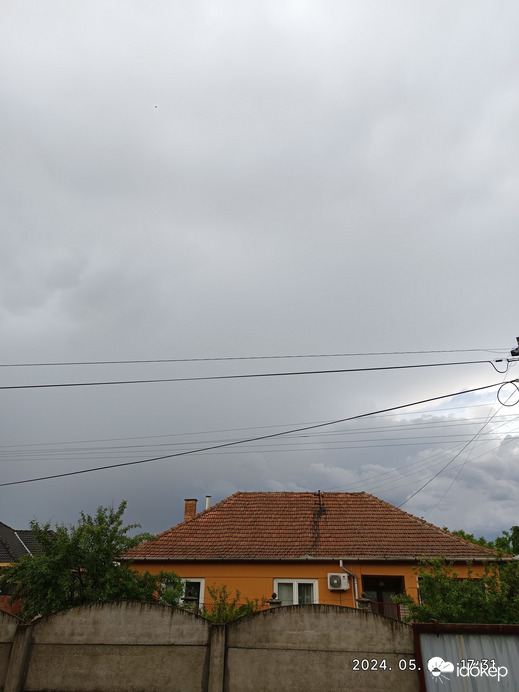 Polgár