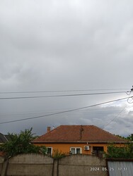 Polgár
