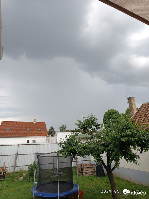 Polgár